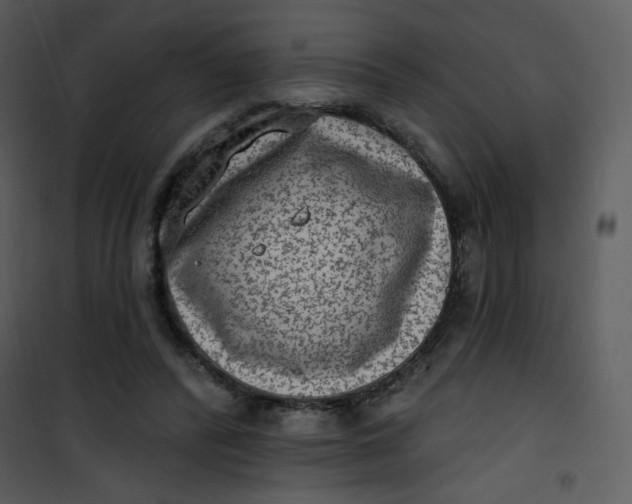 X0000101150400200807181339