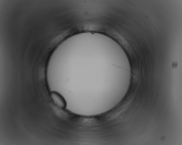 X0000101150401200807181339