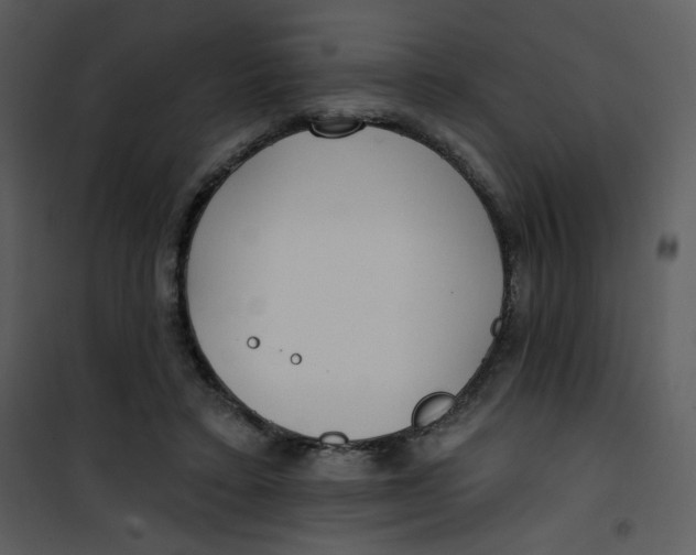 X0000101150403200807181339