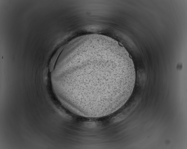 X0000101150404200807181339