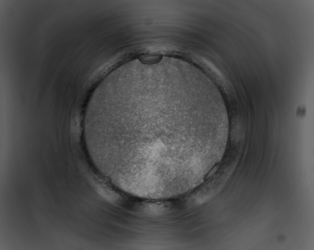 X0000101150405200807181339