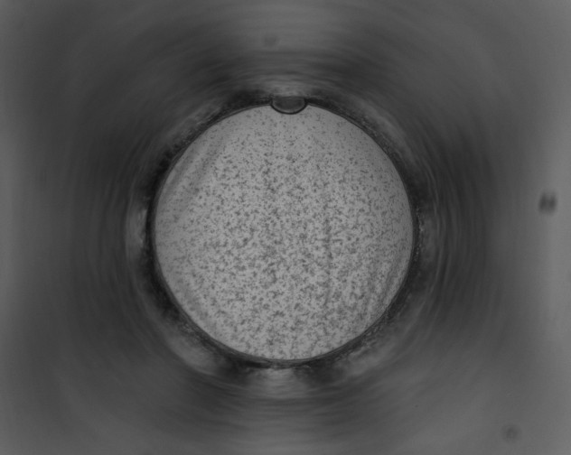 X0000101150406200807181339