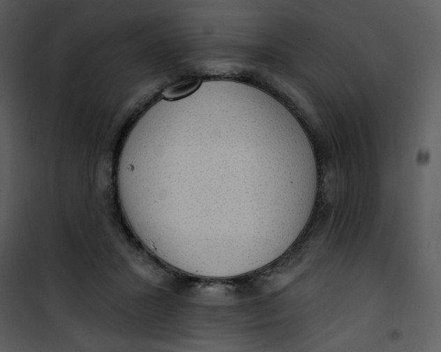 X0000101150407200807181339