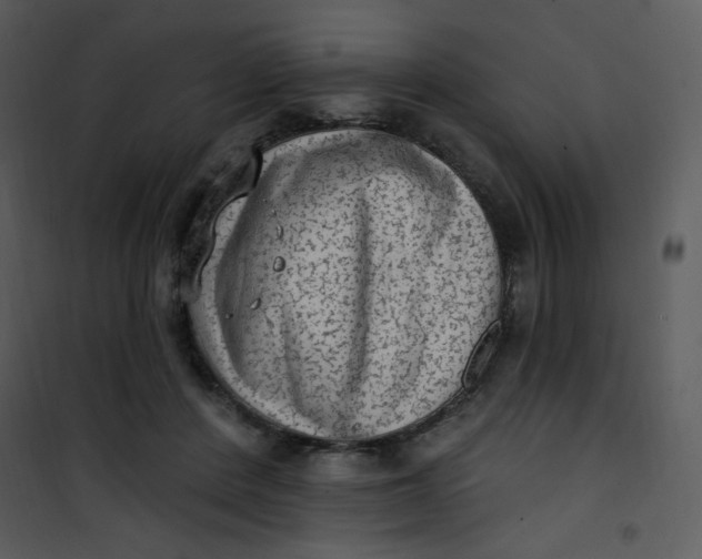 X0000101150408200807181339