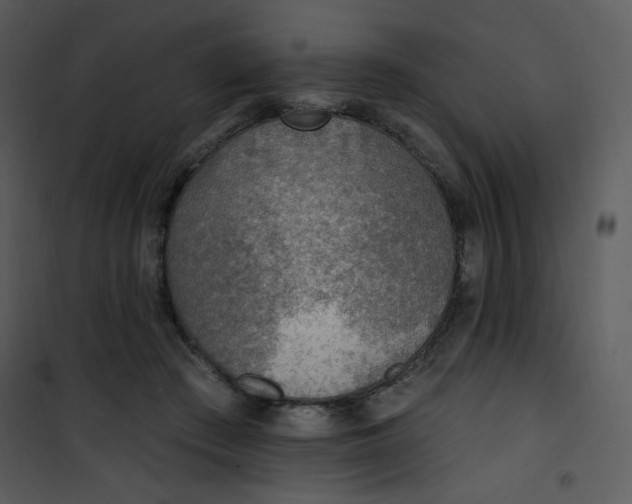 X0000101150409200807181339