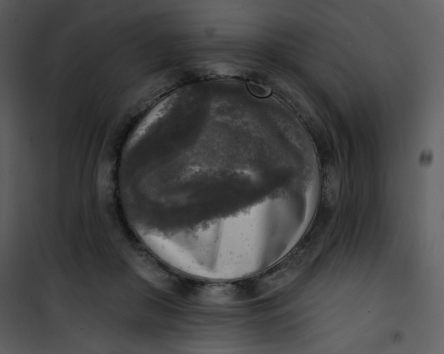 X0000101150410200807181339