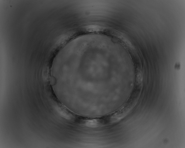 X0000101150411200807181339