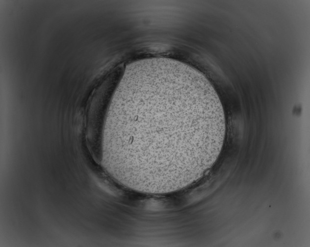 X0000101150412200807181339