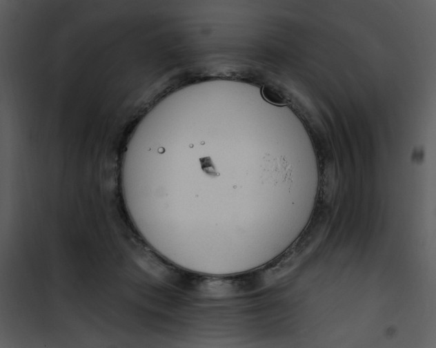 X0000101150413200807181339