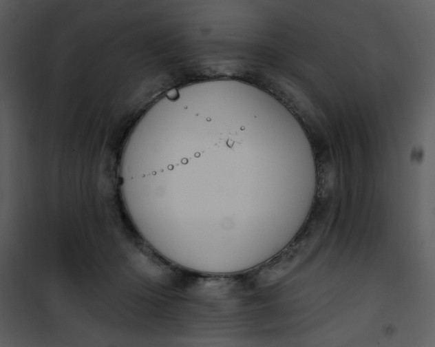 X0000101150414200807181339