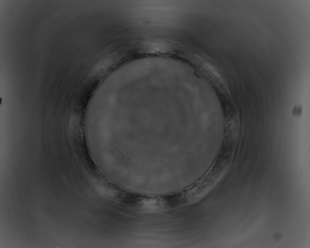 X0000101150415200807181339