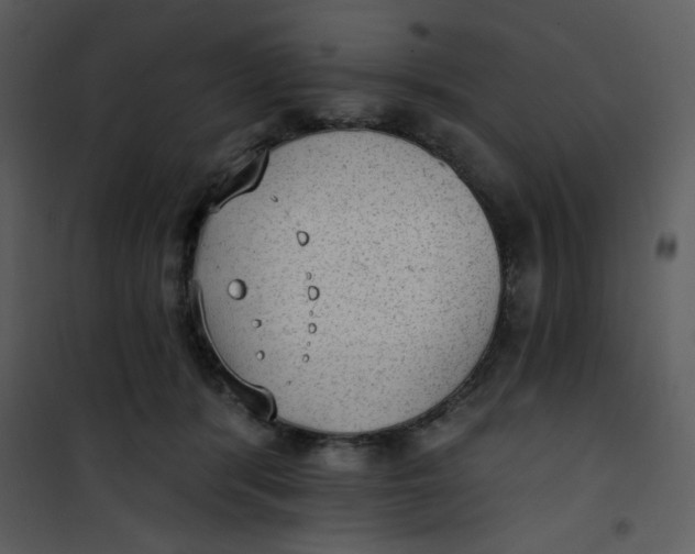 X0000101150416200807181339