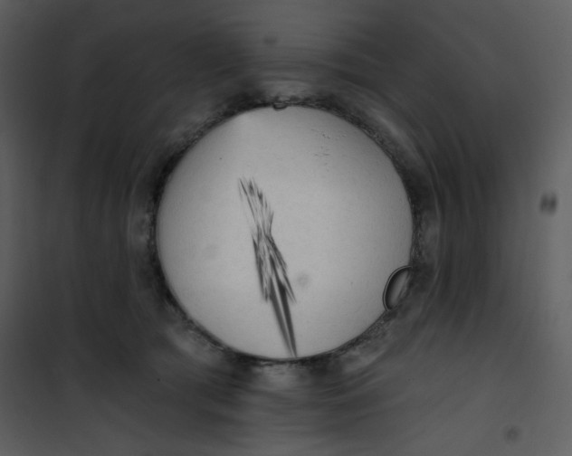 X0000101150417200807181339