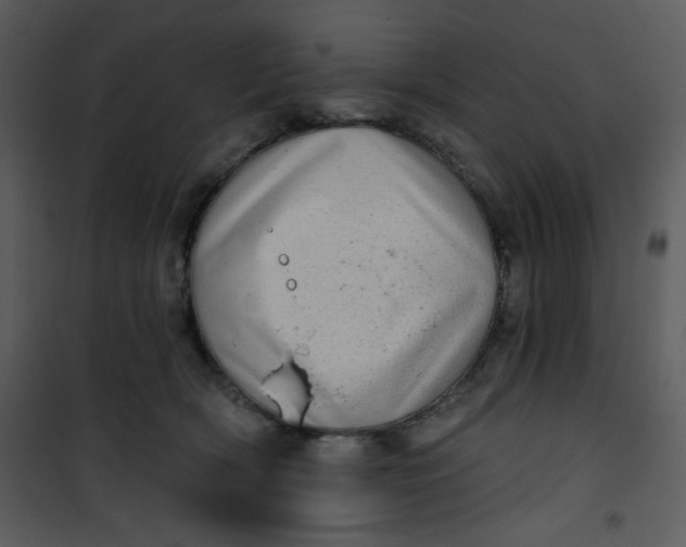 X0000101150418200807181339