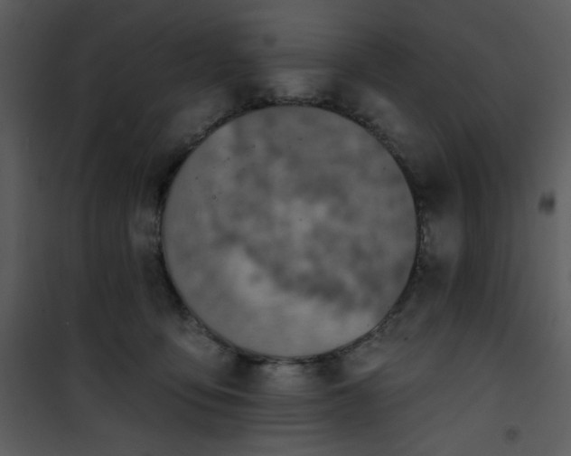 X0000101150419200807181339