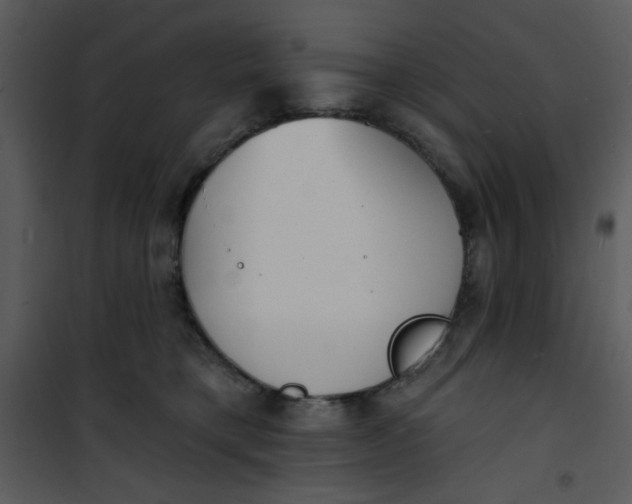 X0000101150421200807181339