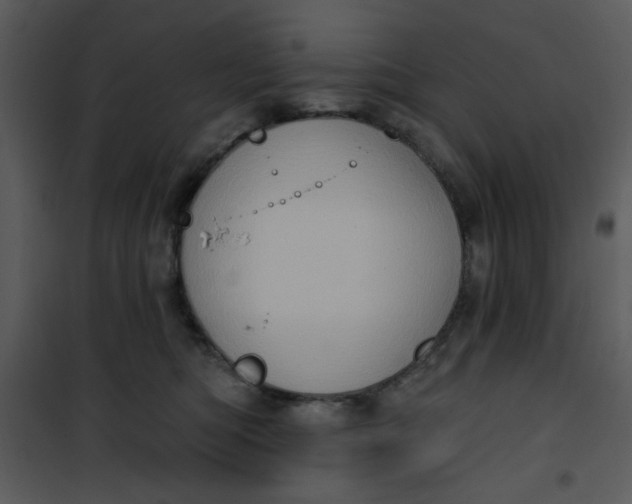 X0000101150422200807181339