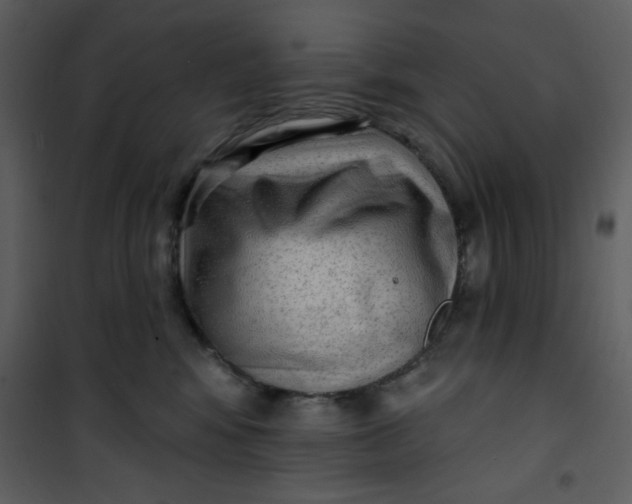 X0000101150424200807181339