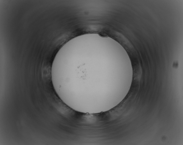 X0000101150425200807181339