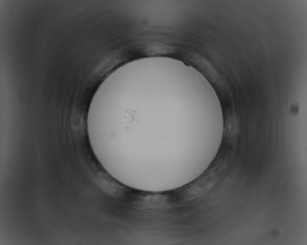 X0000101150426200807181339