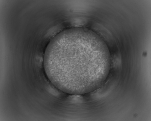 X0000101150427200807181339