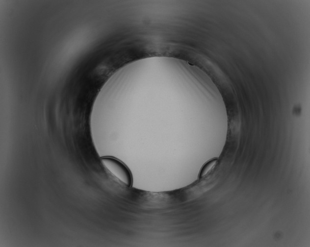 X0000101150429200807181339