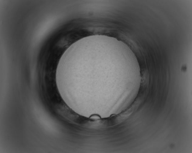 X0000101150430200807181339