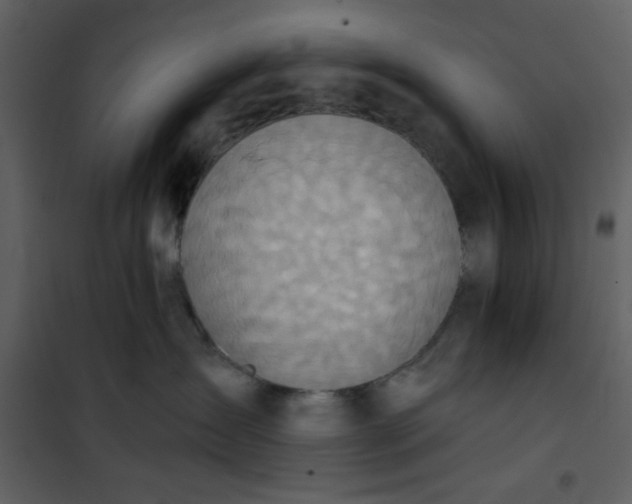 X0000101150431200807181339