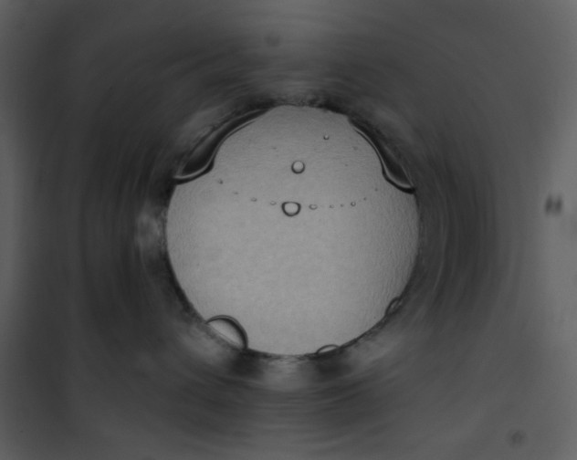 X0000101150432200807181339