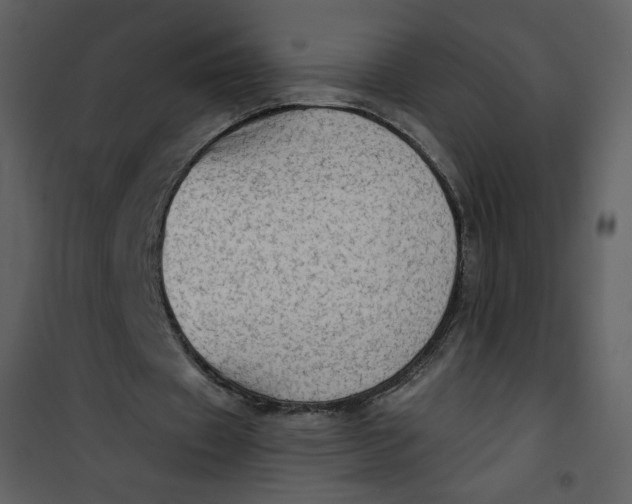 X0000101150433200807181338