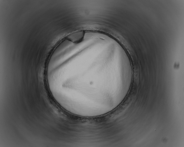 X0000101150434200807181338