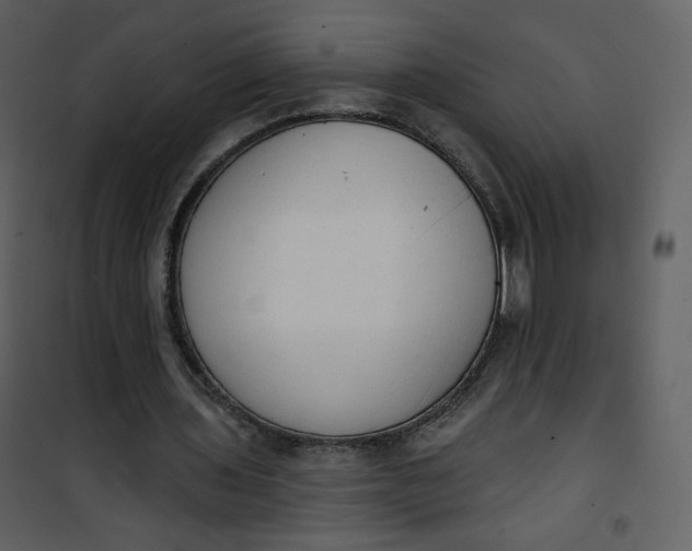 X0000101150435200807181338