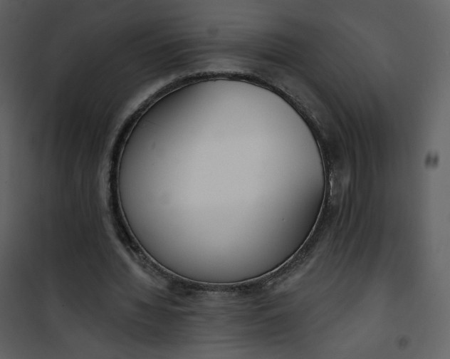 X0000101150436200807181338