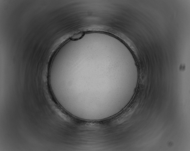 X0000101150437200807181338