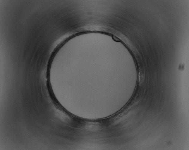 X0000101150438200807181338