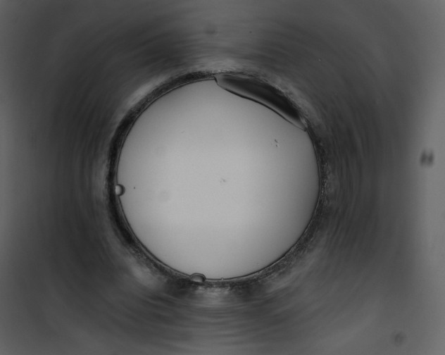 X0000101150440200807181338