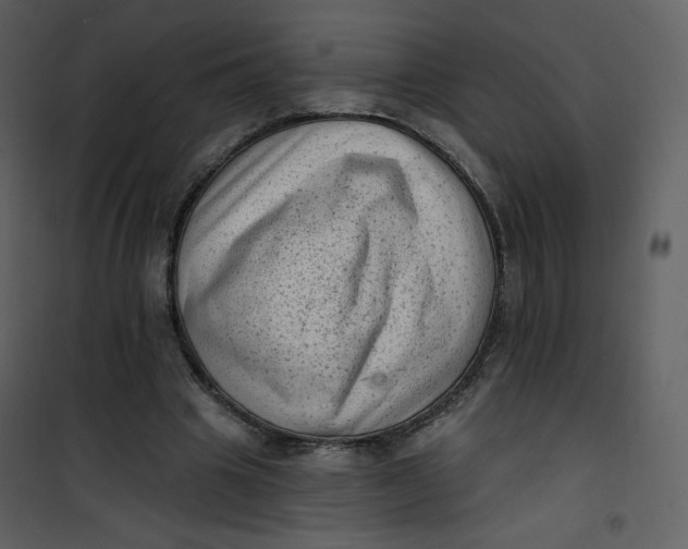 X0000101150441200807181338