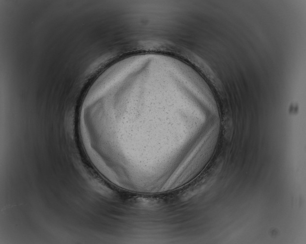 X0000101150442200807181338