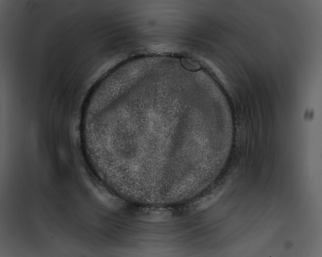 X0000101150443200807181338