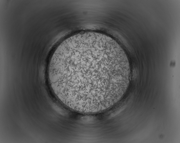 X0000101150444200807181338