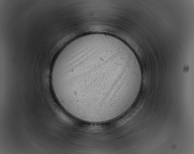 X0000101150445200807181338