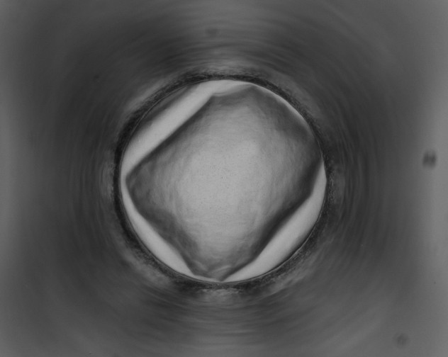 X0000101150446200807181338