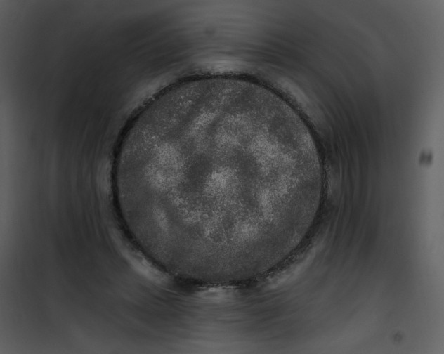 X0000101150447200807181338