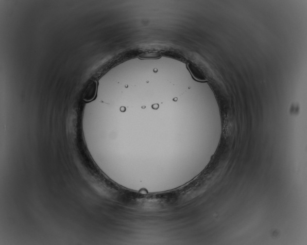 X0000101150448200807181338