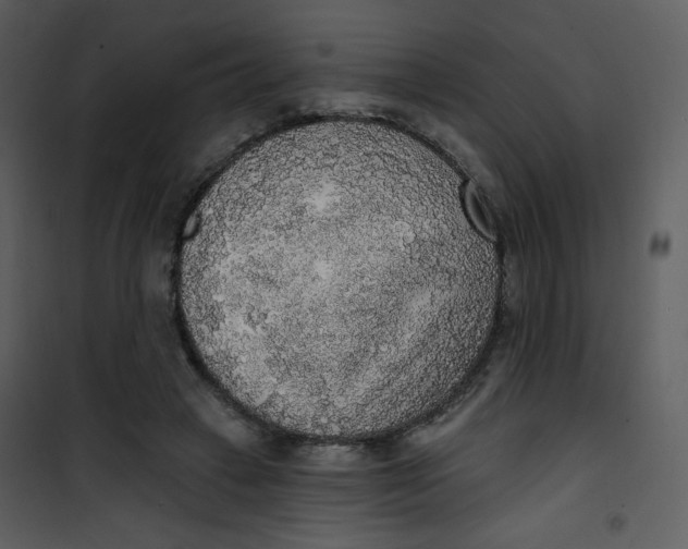 X0000101150449200807181338