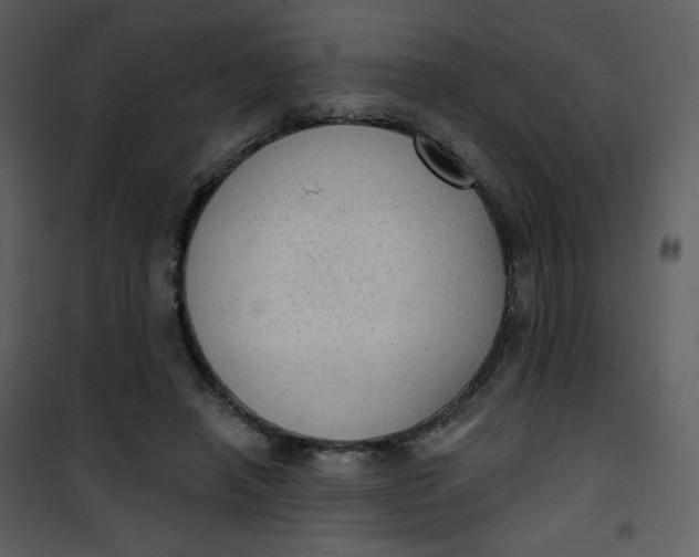 X0000101150450200807181338