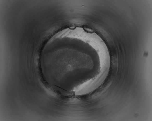 X0000101150451200807181338