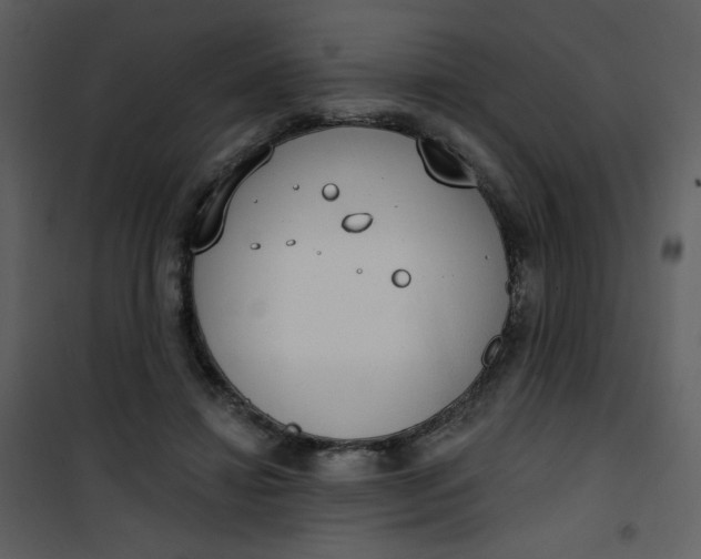 X0000101150452200807181338