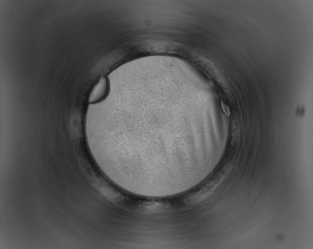 X0000101150453200807181338