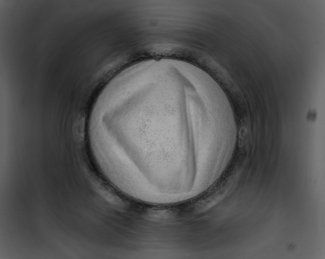 X0000101150454200807181338